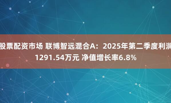 股票配资市场 联博智远混合A：2025年第二季度利润1291.54万元 净值增长率6.8%