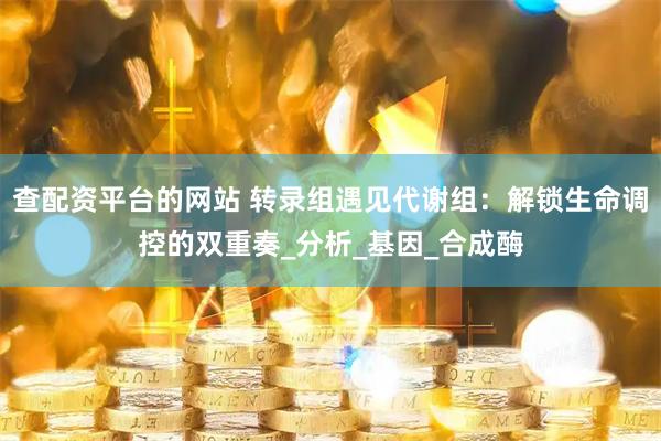 查配资平台的网站 转录组遇见代谢组：解锁生命调控的双重奏_分析_基因_合成酶